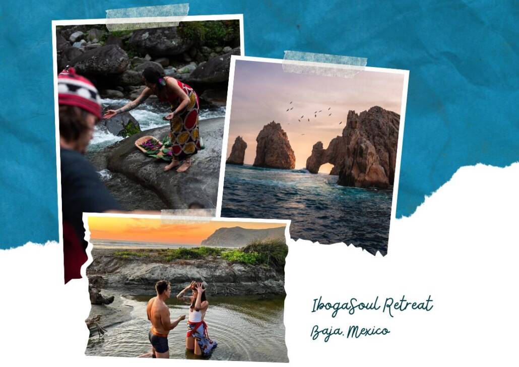 iboga soul spotlight